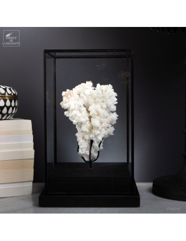 Cristaux d'Aragonite blanche du...