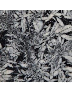 Pinolite from Austria- 2.9Kg 2