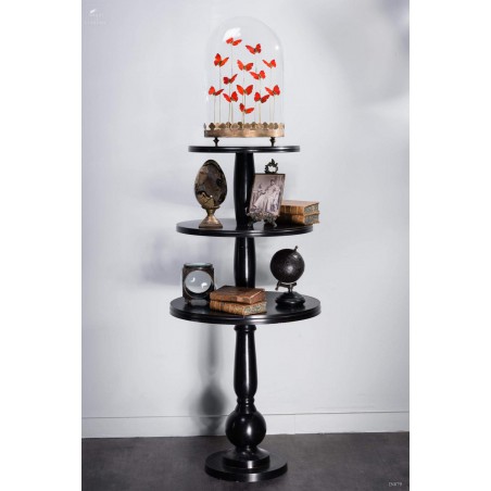 13 red butterflies under  glass