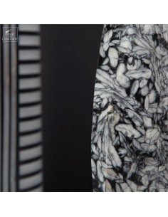 Polished Pinolite from... 2
