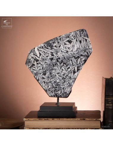 Pinolite polie d'Autriche- 1.9kg