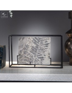 Fossil In cage :...