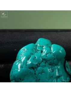 Turquoise howlite on black... 2