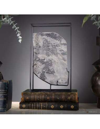 Fossiles en cage (1.5Kg) :...