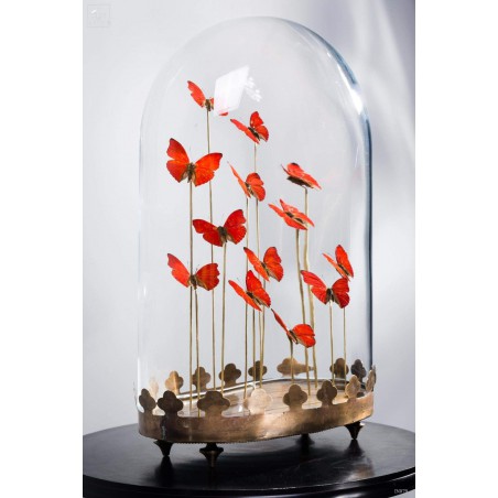 13 red butterflies under  glass
