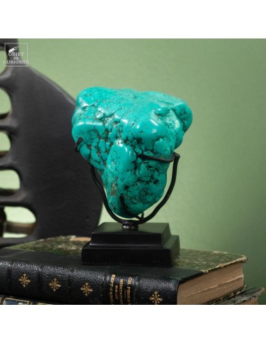 Howlite turquoise (650g) sur base noire