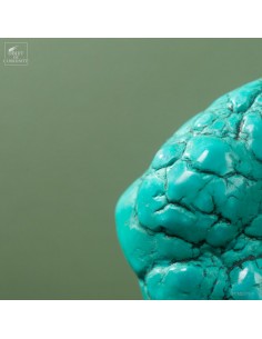 Turquoise howlite on black... 2