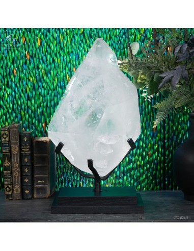 White crystal  Jacaré natural...