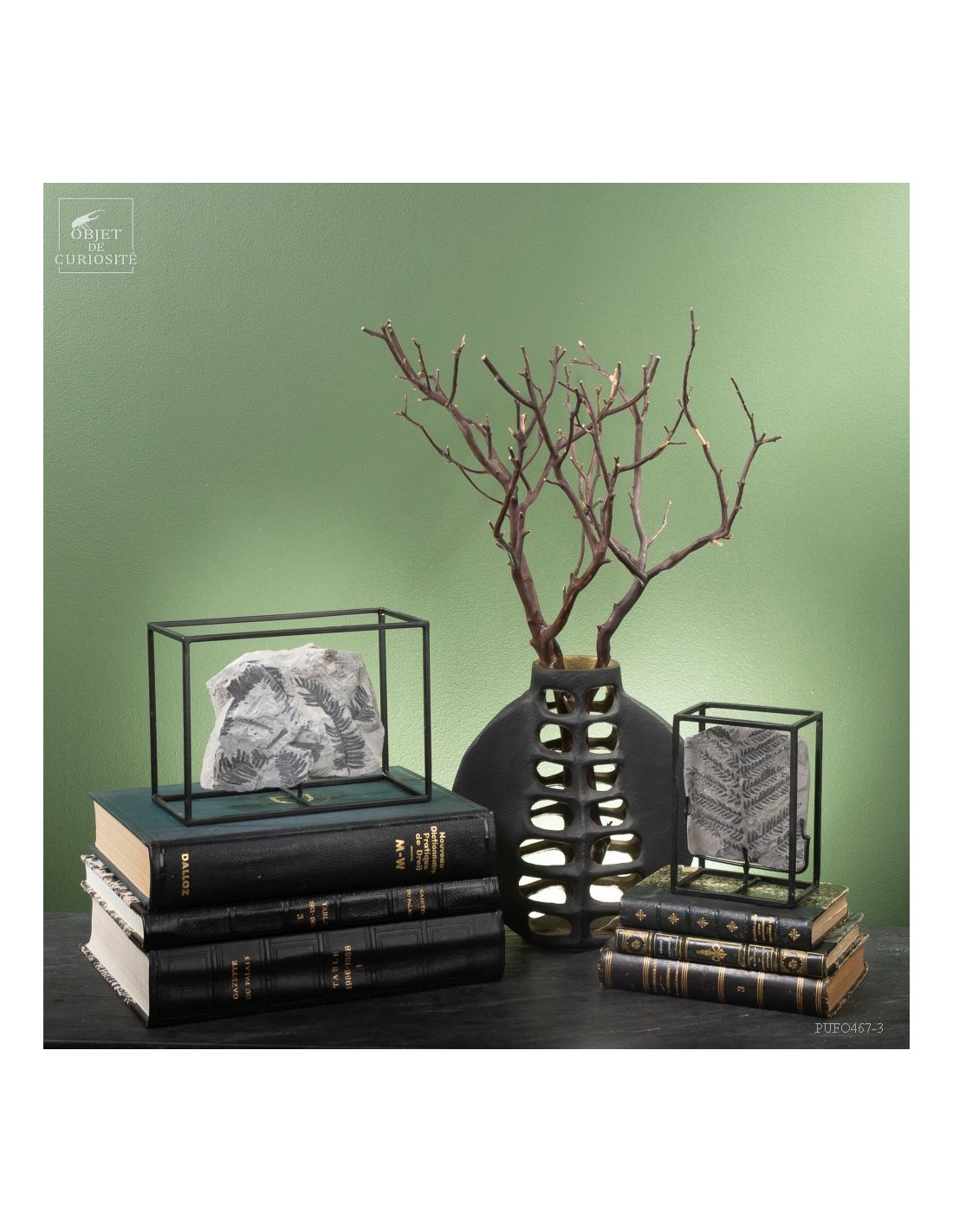 Fossiles en cage :  PECOPTERIS... Fossiles en cage :  PECOPTERIS...