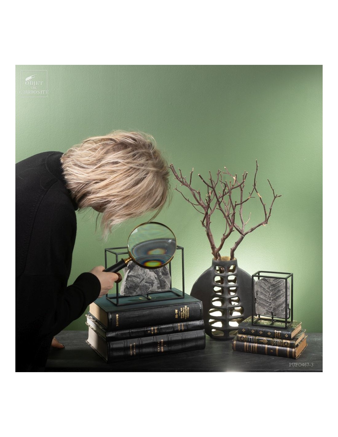 Fossiles en cage :  PECOPTERIS... Fossiles en cage :  PECOPTERIS...