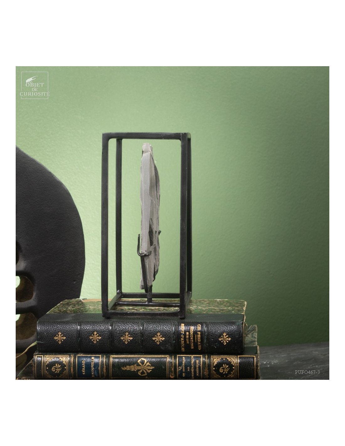 Fossiles en cage :  PECOPTERIS... Fossiles en cage :  PECOPTERIS...