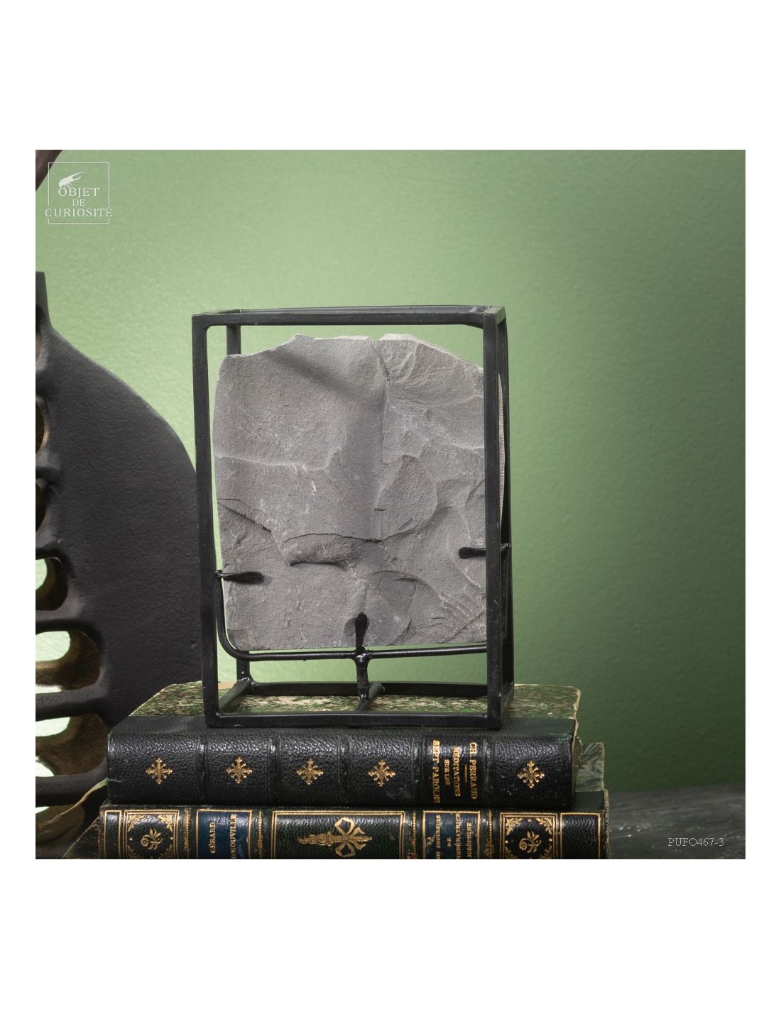 Fossiles en cage :  PECOPTERIS... Fossiles en cage :  PECOPTERIS...