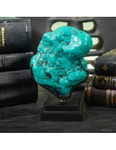 Howlite turquoise sur base noire