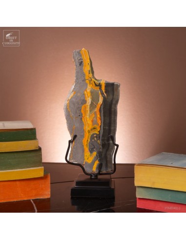 Tranche  de jaspe Bumble Bee (West...