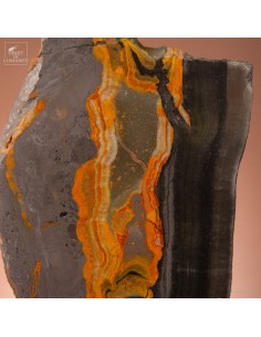 Slice of bumble Bee jasper... 2