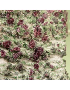 Pyrope garnet on chromium... 2