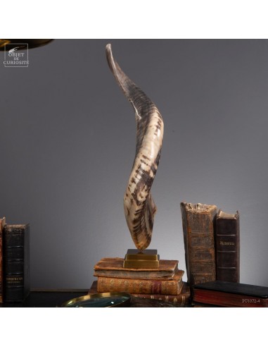 Polished Rove goat horn, brass base