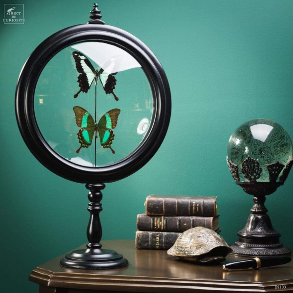 Deux papillons verts dans reliquaire