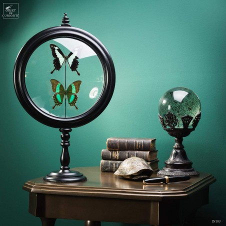 Deux papillons verts dans reliquaire