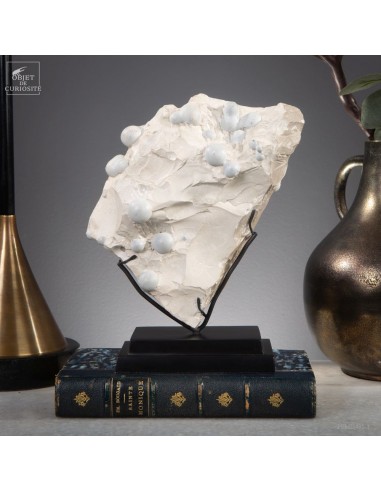 Opale Ménilite (Espagne) sur gangue