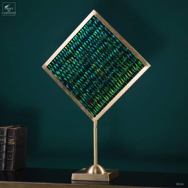 Elytra green beetle wings in square brass frame