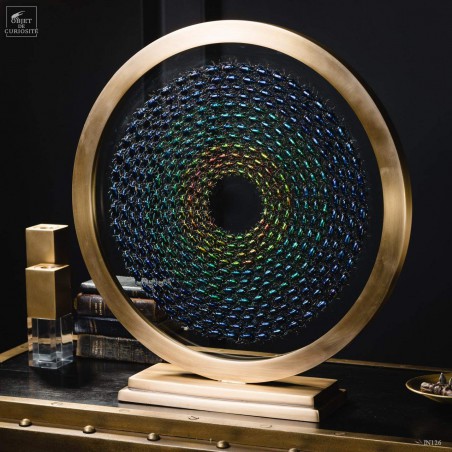 Variations de Sagra dans un cercle de laiton. Variations de Sagra dans un cercle de laiton.