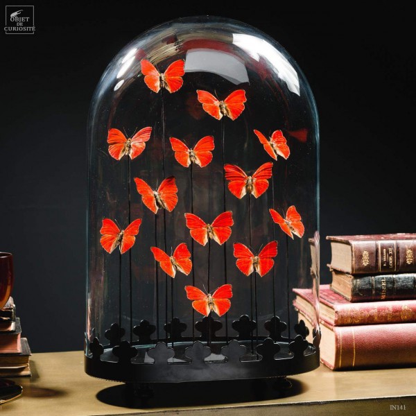 Globe oval de 13 papillons rouges galette en laiton noir