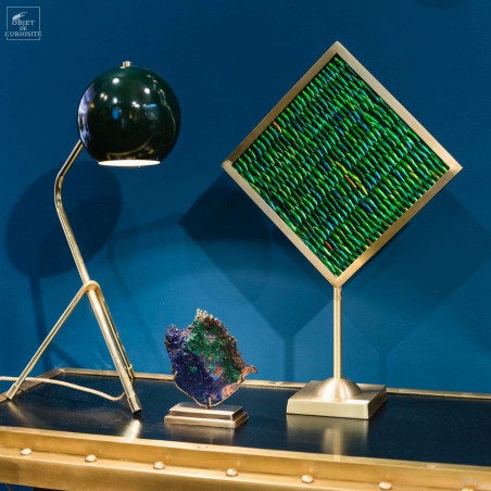Elytra green beetle wings in square brass frame