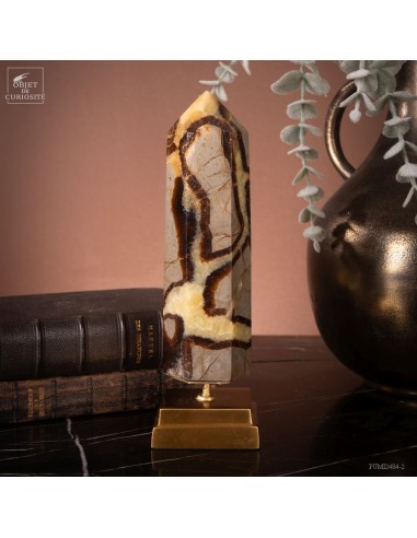 Prisme de septaria 630g (Madagascar)