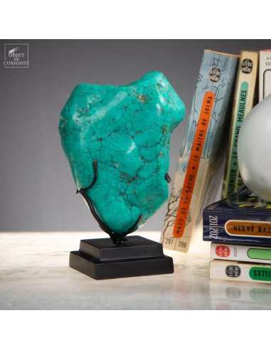 Howlite turquoise (805g) sur base noire