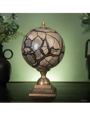 Septaria boule de 8.2kg avec...