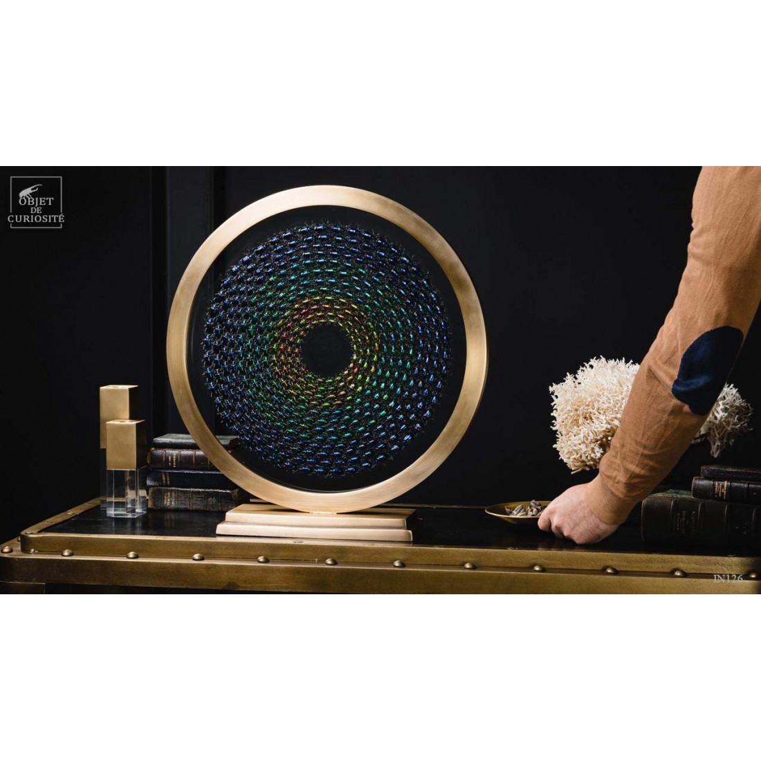 Variations de Sagra dans un cercle de laiton. Variations de Sagra dans un cercle de laiton.