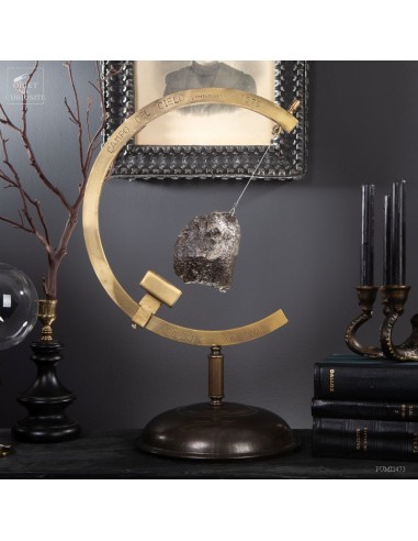 Météorite Campo del Cielo 2.9kg :...