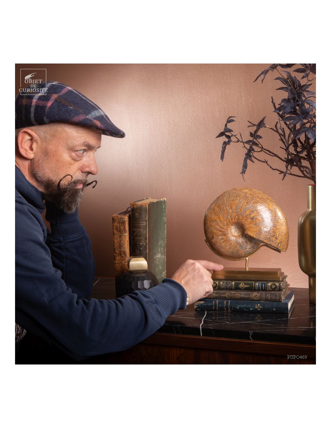 Ammonite Macrocephalite (Madagascar)... Ammonite Macrocephalite (Madagascar)...