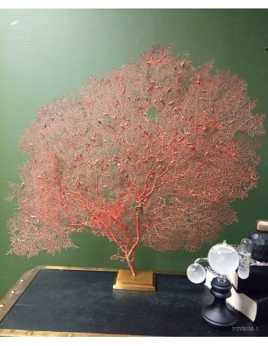 Gorgone rouge vif sur base laiton Gorgone rouge vif sur base laiton