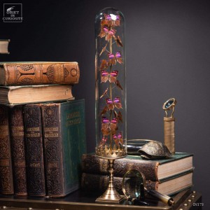 17 butterflies ANAEA NESSUS under glass with brass base