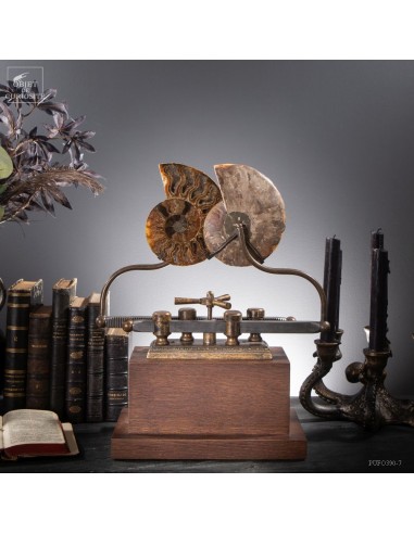 Ammonite on sliding machine