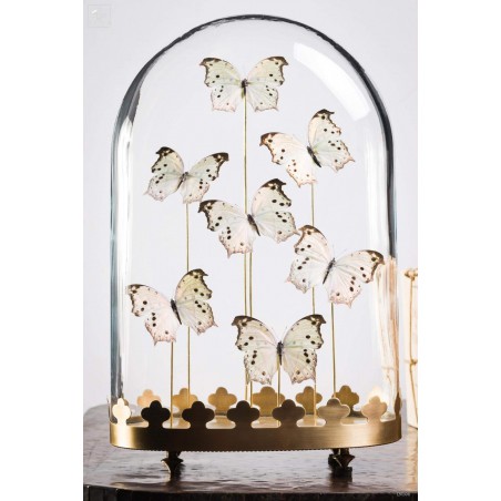 7 black  and white butterflies under oval glass