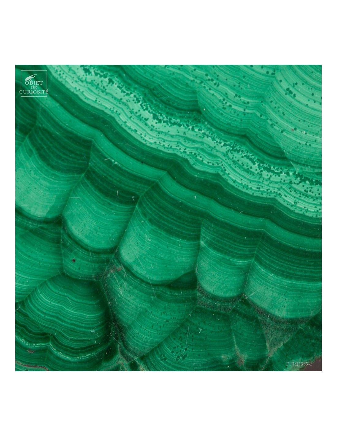 Slice of malachite in brass... Slice of malachite in brass...