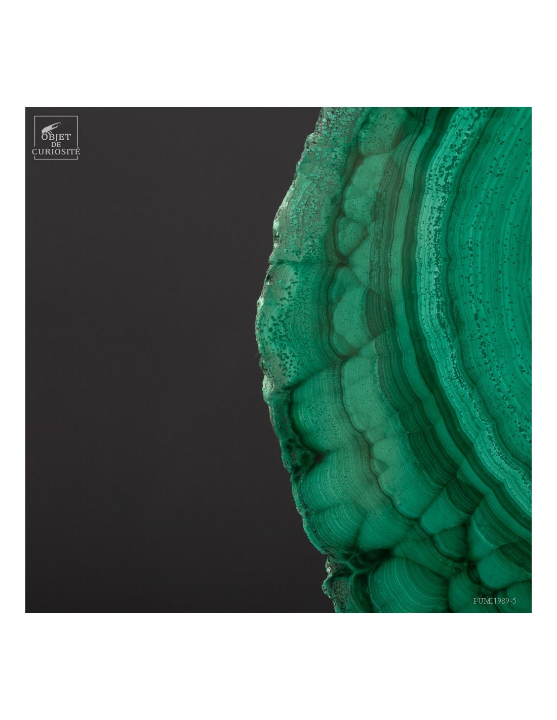 Slice of malachite in brass... Slice of malachite in brass...