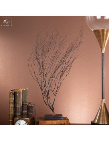 Gorgone noire  à filaments sur base...