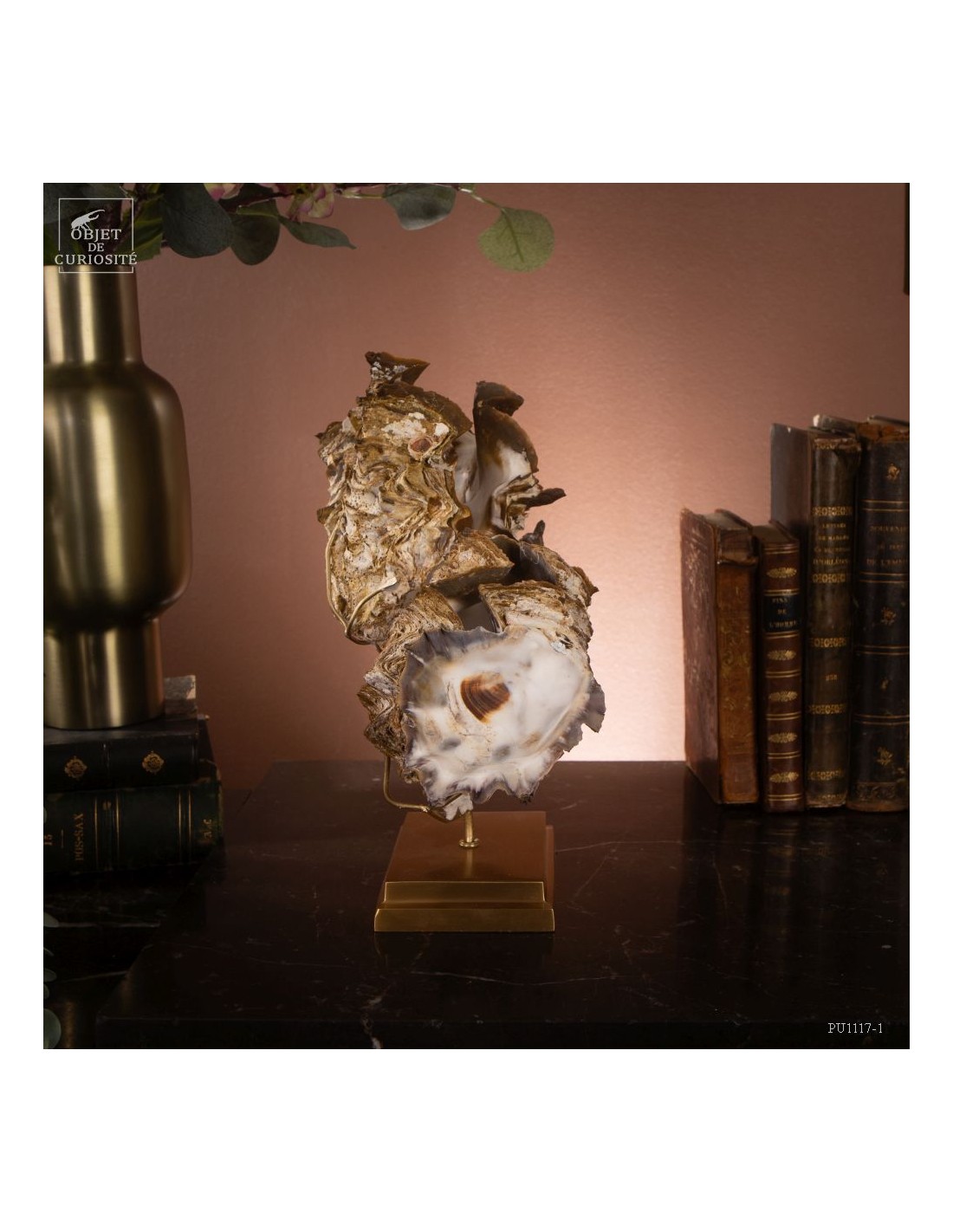 Huitre dentelée de Madagascar sur laiton Huitre dentelée de Madagascar sur laiton