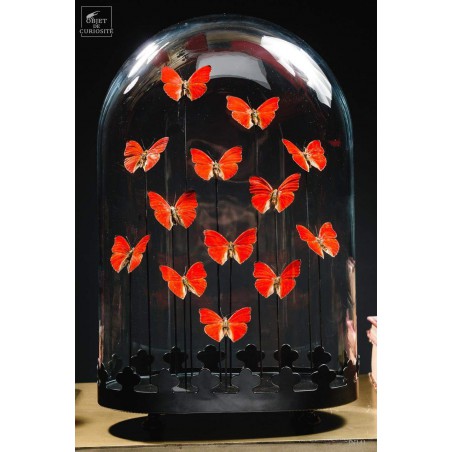 Globe oval de 13 papillons rouges galette en laiton noir