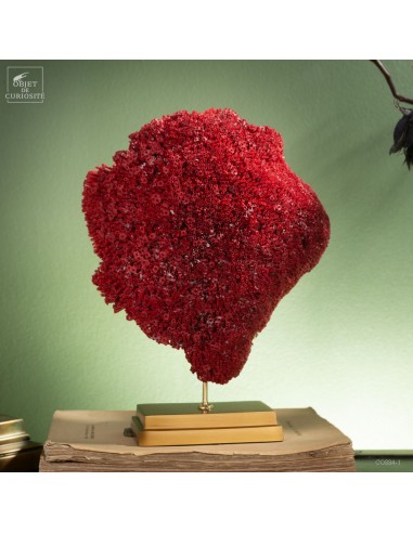 Red TUBIPORA MUSICA coral