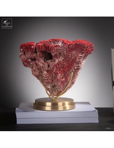 Red TUBIPORA MUSICA coral