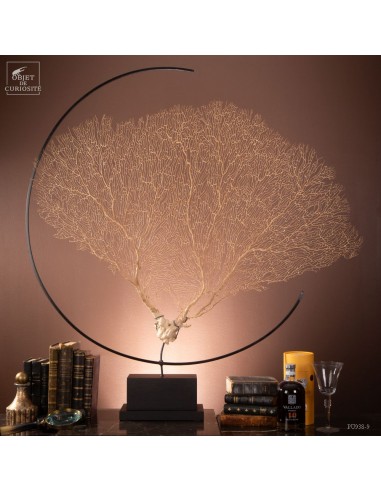 White sea fan in metal circle