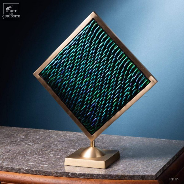 Elytra green beetle wings in square brass frame