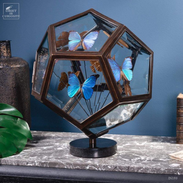 9 blue butterflies MORPHO MENELAUS in 12 sides glass box