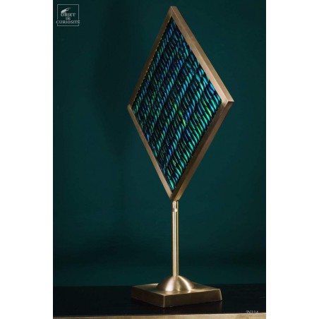 Elytra green beetle wings in square brass frame