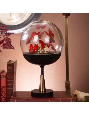 10 papillons CYMOTHOE SANGARIS –...